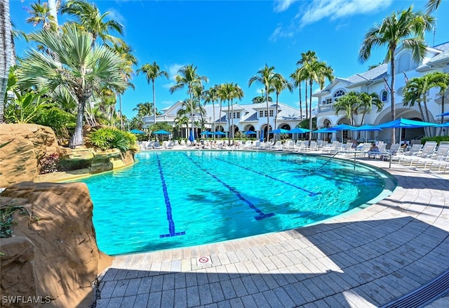 view of pool with a patio area