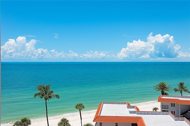 water view featuring a beach view