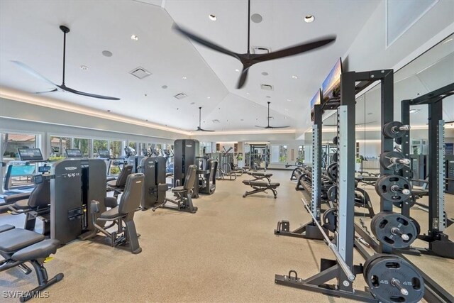 workout area featuring lofted ceiling