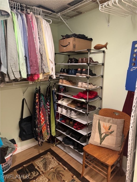 spacious closet featuring wood-type flooring