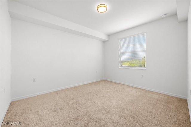 unfurnished room with carpet