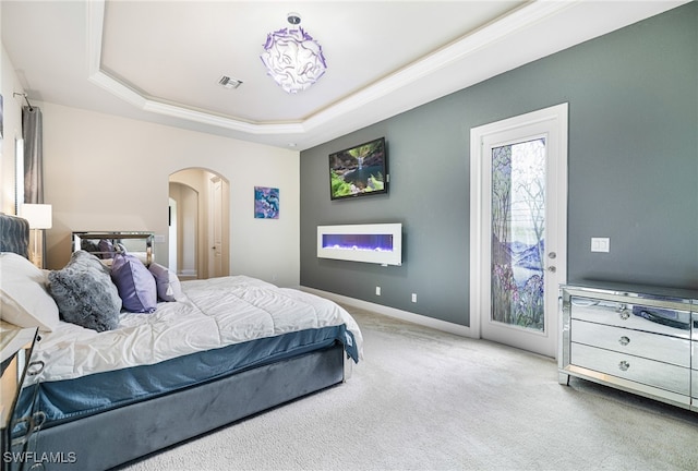 bedroom with a raised ceiling and carpet flooring