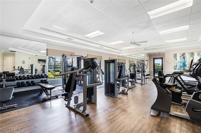 exercise room with wood-type flooring, a raised ceiling, and plenty of natural light