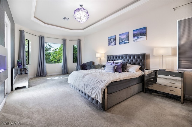 carpeted bedroom featuring a tray ceiling