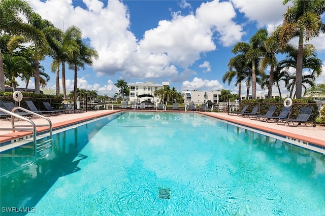 view of swimming pool