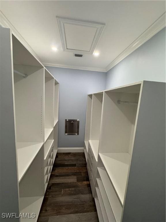 walk in closet with dark hardwood / wood-style flooring