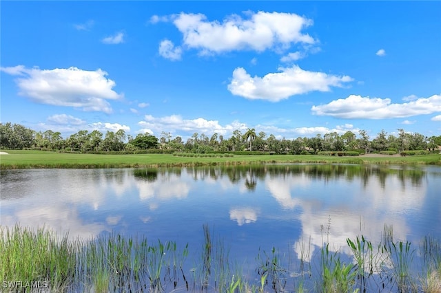 property view of water