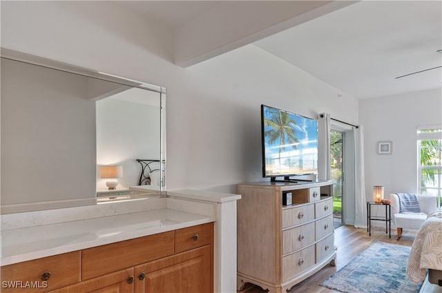 bathroom featuring wood-type flooring