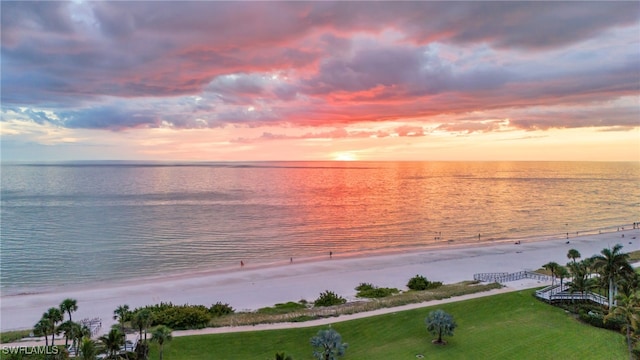 water view featuring a beach view