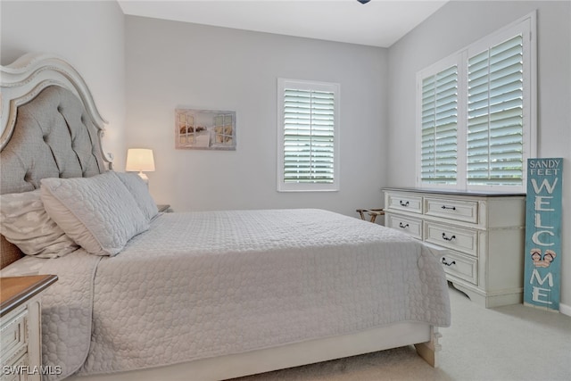 bedroom with carpet floors