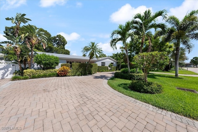 ranch-style home featuring a front yard