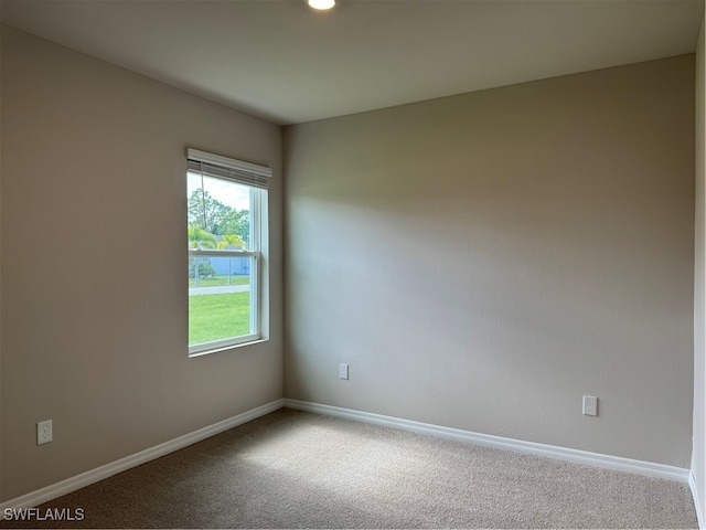 spare room featuring carpet floors