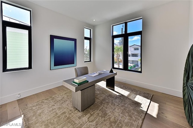 office area featuring wood-type flooring