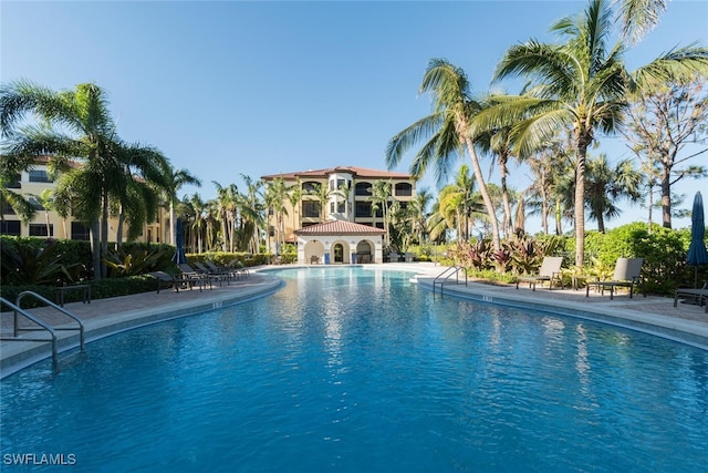 view of swimming pool featuring a patio area