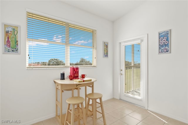 tiled dining room with a wealth of natural light