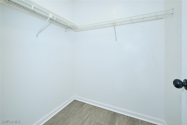 walk in closet featuring hardwood / wood-style flooring