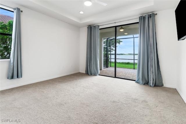 spare room with a healthy amount of sunlight and carpet flooring