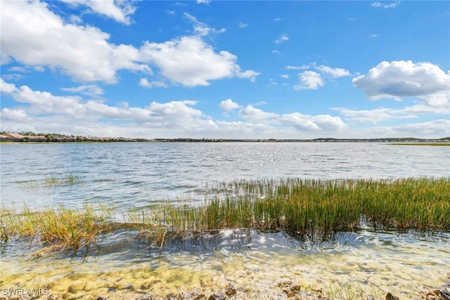 property view of water