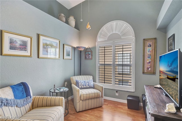 sitting room featuring hardwood / wood-style flooring