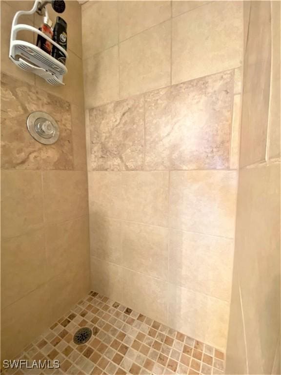 full bathroom with a tile shower