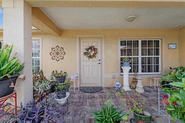 view of exterior entry with a patio