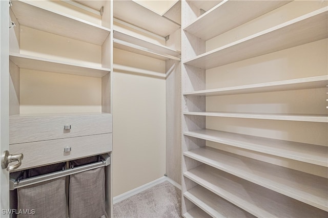 walk in closet with light colored carpet