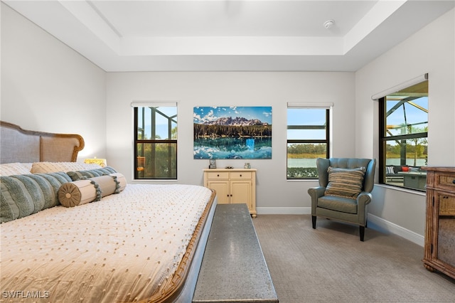 bedroom featuring a raised ceiling and light colored carpet