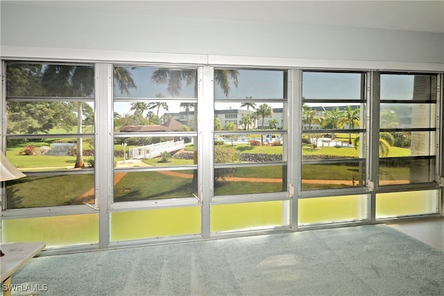 entryway featuring carpet floors