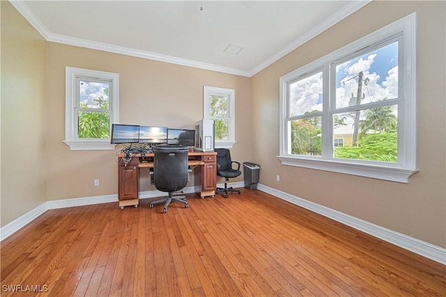 office with a wealth of natural light, crown molding, light wood-style flooring, and baseboards