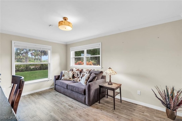 living room with a wealth of natural light, crown molding, and light hardwood / wood-style flooring