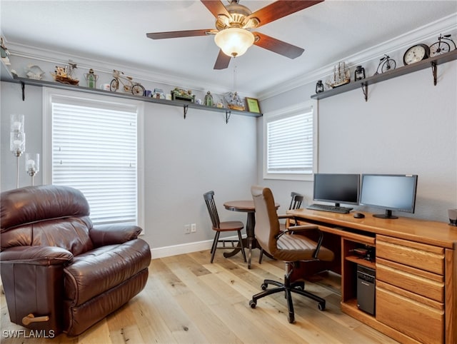 office space with crown molding, light hardwood / wood-style flooring, and ceiling fan