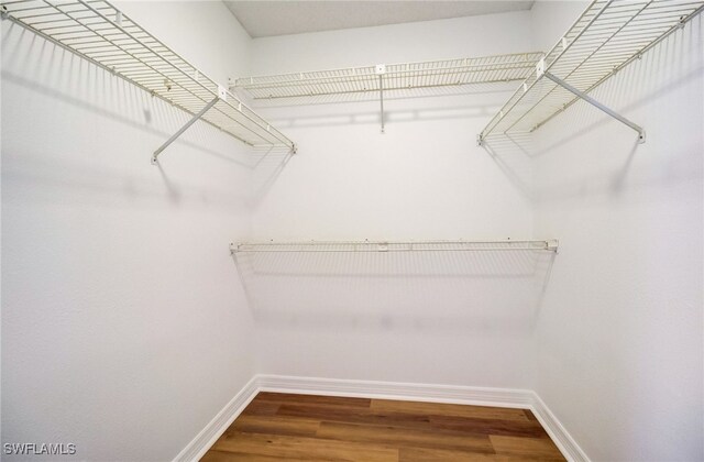 walk in closet featuring wood-type flooring