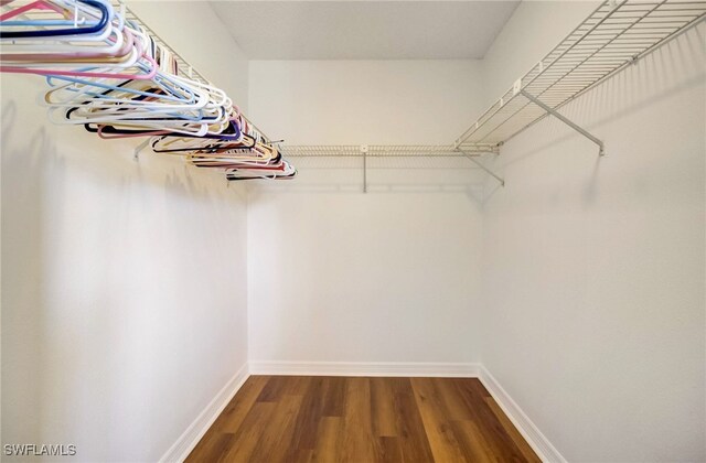 walk in closet with hardwood / wood-style flooring