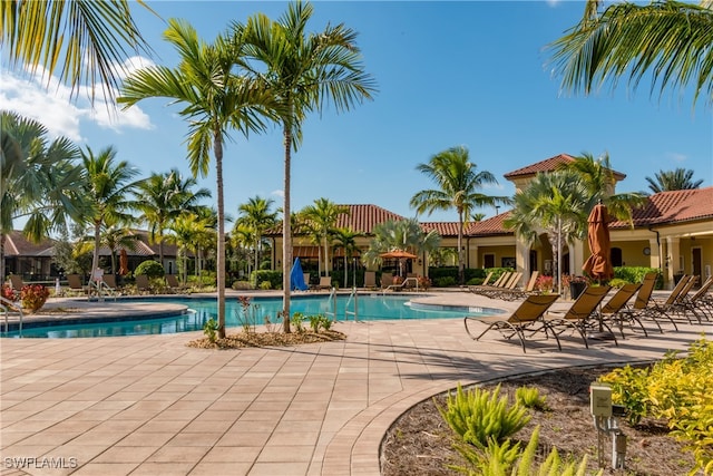 view of pool featuring a patio area