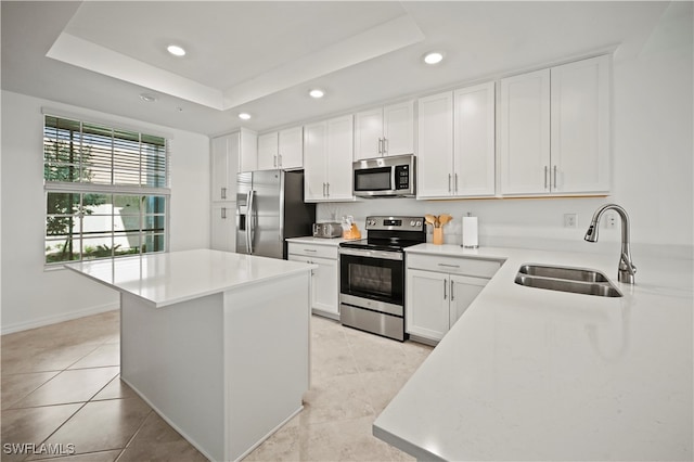 kitchen featuring appliances with stainless steel finishes, a raised ceiling, sink, and a kitchen island