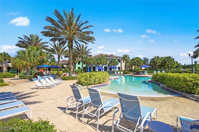 view of swimming pool featuring a patio area