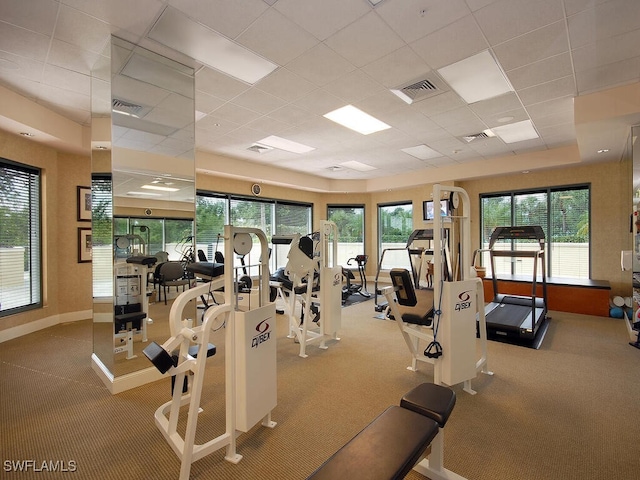 workout area featuring carpet and a drop ceiling