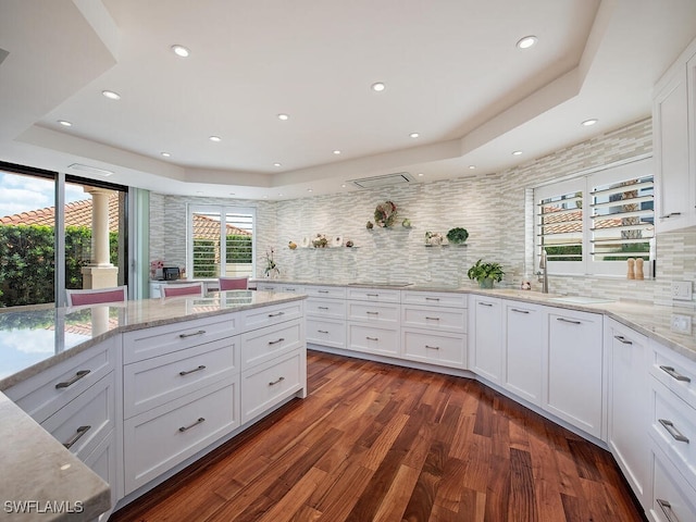 kitchen featuring a tray ceiling, white cabinetry, wood finished floors, and light stone countertops