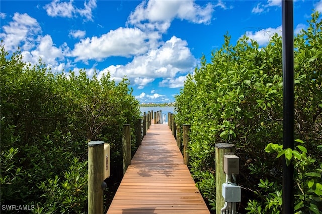 dock area featuring a water view