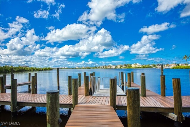 dock area with a water view