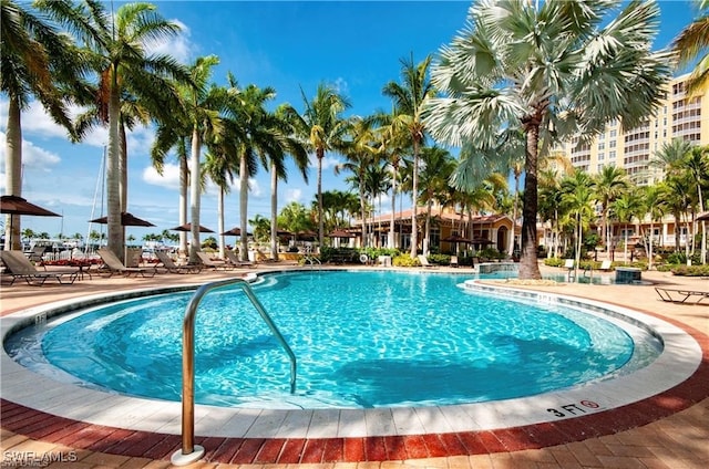 view of swimming pool