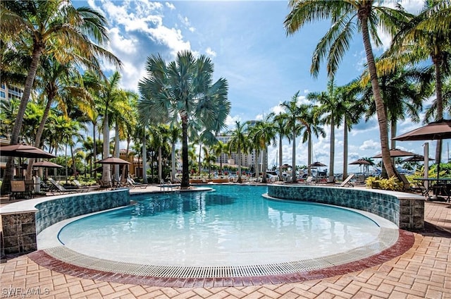 view of swimming pool featuring a patio