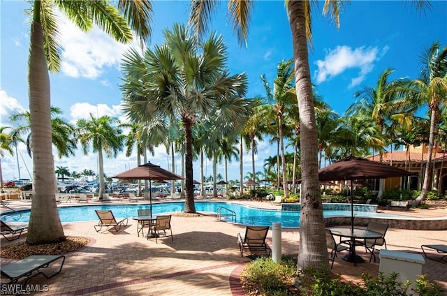 view of swimming pool featuring a patio