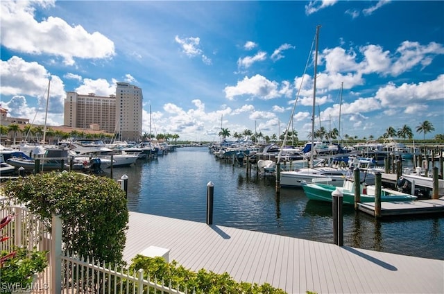 dock area with a water view