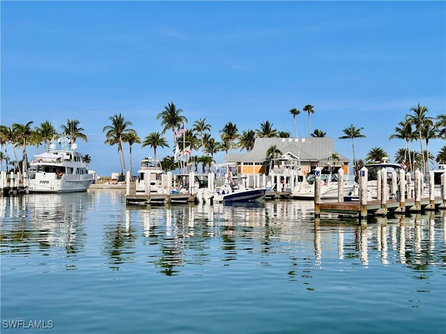 dock area with a water view