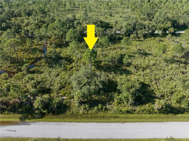 13211 Chiminiello Dr, Port Charlotte FL, 33953 land for sale