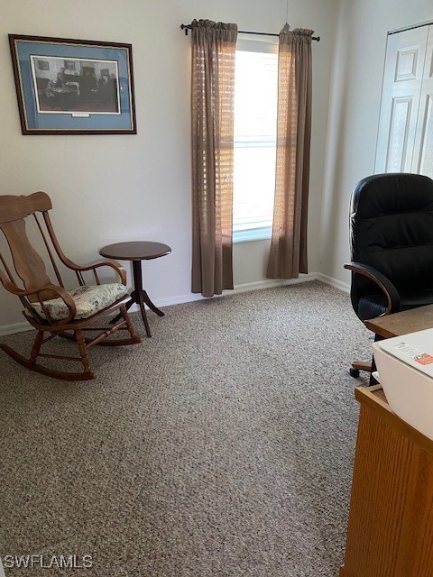 living area with carpet floors