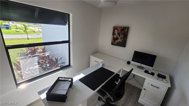 office space featuring wood-type flooring