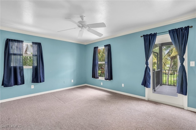 spare room featuring ceiling fan, crown molding, and carpet floors