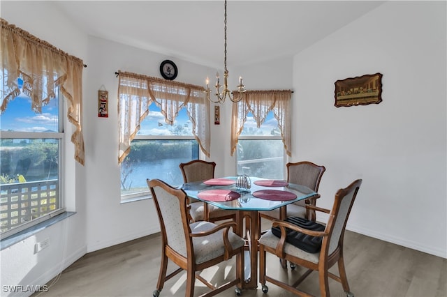 dining space featuring a wealth of natural light and wood-type flooring